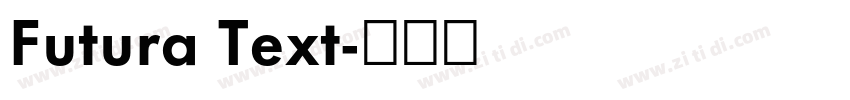 Futura Text字体转换